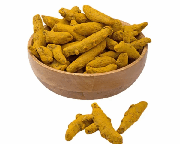 premium-quality-dried-turmeric-roots-for-bulk-supply