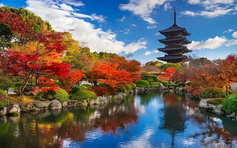 affordable-japan-holiday-packages-for-families-couples-big-0