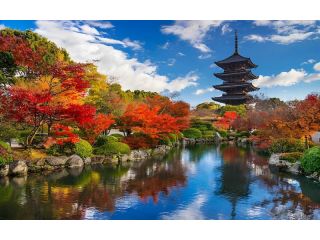 affordable-japan-holiday-packages-for-families-couples-small-0