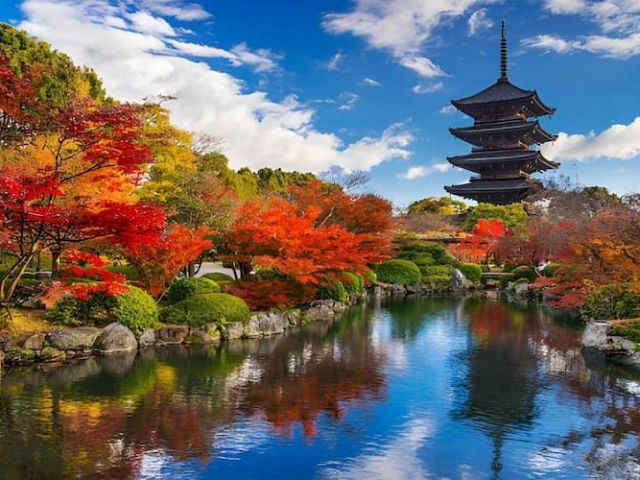 affordable-japan-holiday-packages-for-families-couples