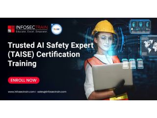 master-taise-training-for-modern-ai-security-small-0