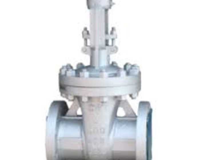 valves-and-fittings-in-dubai-uae