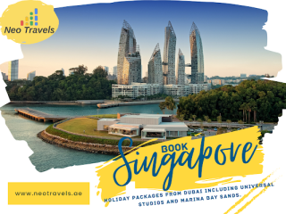 singapore-trip-from-dubai-for-first-time-travel-lovers-small-0