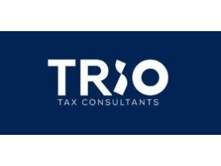 accurate-vat-return-filing-with-trio-tax-small-0