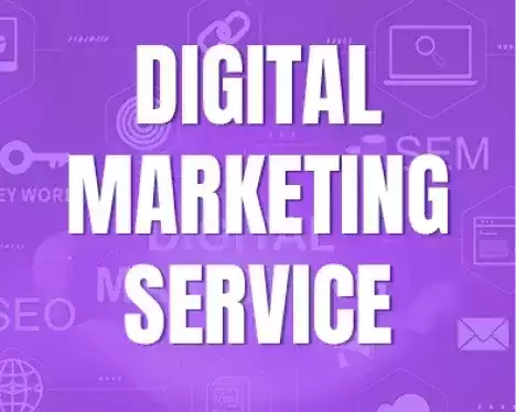 affordable-seo-services-in-uae-for-startups-enterprises