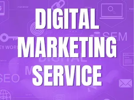 affordable-seo-services-in-uae-for-startups-enterprises