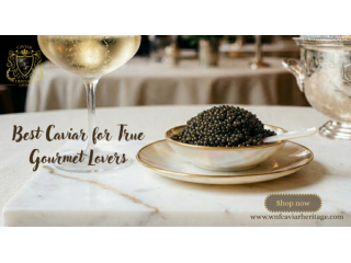 best-place-to-buy-caviar-online-dubai-wnf-caviar-heritage-small-0