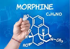 morpholine-99-supplier-in-kuwait-morpholine-chemical-servochem-big-0