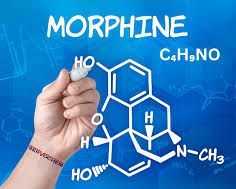 morpholine-99-supplier-in-kuwait-morpholine-chemical-servochem