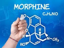 morpholine-99-supplier-in-kuwait-morpholine-chemical-servochem