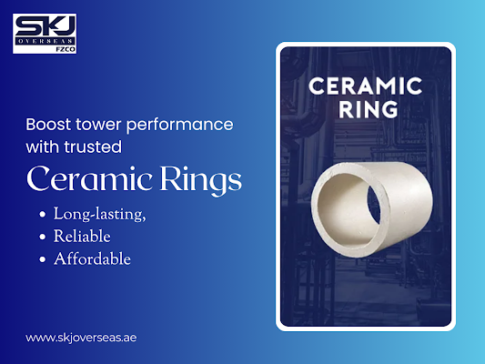 ceramic-ring-manufacturers-for-corrosion-resistant-systems-big-0