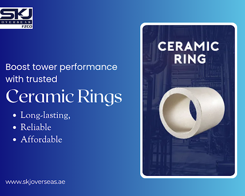 ceramic-ring-manufacturers-for-corrosion-resistant-systems