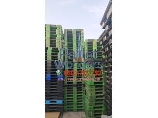 0555450341-pallets-wooden-small-0
