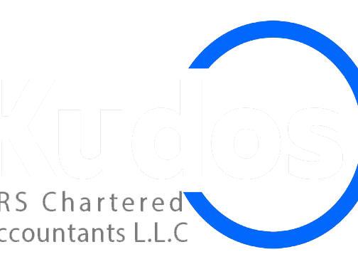 service-expert-tax-consulting-firms-in-dubai