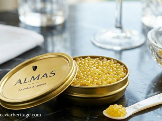 buy-caviar-albino-almas-in-dubai-the-worlds-rarest-caviar
