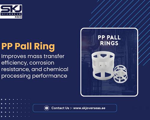 industrial-pall-ring-in-dubai-for-processing-applications