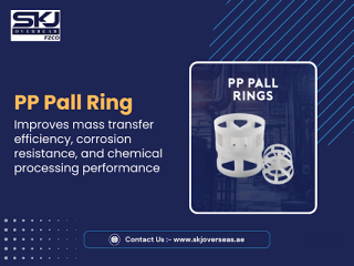 industrial-pall-ring-in-dubai-for-processing-applications-small-0