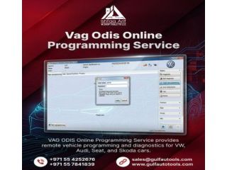 vag-odis-online-programming-account-login-service-small-0