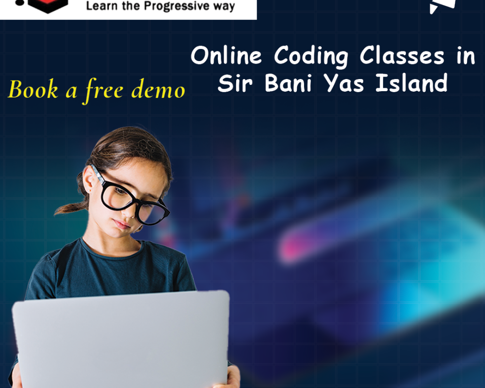 online-coding-classes-in-sir-bani-yas-island