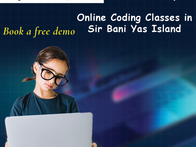 online-coding-classes-in-sir-bani-yas-island
