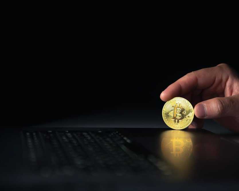 master-the-market-with-the-best-courses
