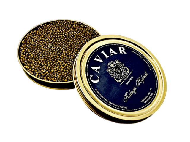 buy-kaluga-queen-hybrid-caviar-dubais-most-coveted-delicacy