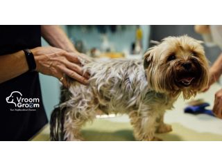 need-a-certified-mobile-pet-groomer-in-dubai-schedule-today-small-0