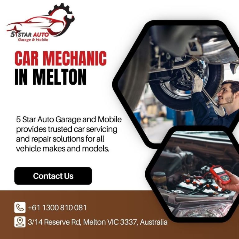 professional-car-mechanic-in-caroline-springs-big-0