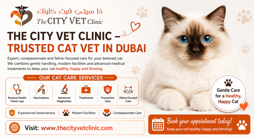 the-city-vet-clinic-trusted-cat-vet-in-dubai-big-0