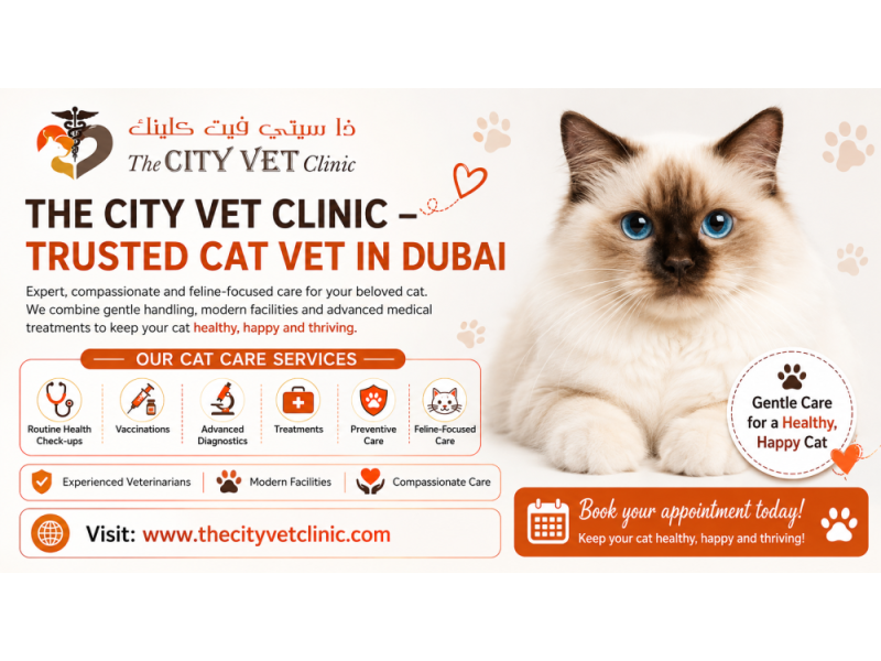 the-city-vet-clinic-trusted-cat-vet-in-dubai-small-0