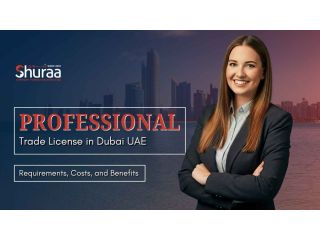 professional-license-in-uae-for-consultants-small-0