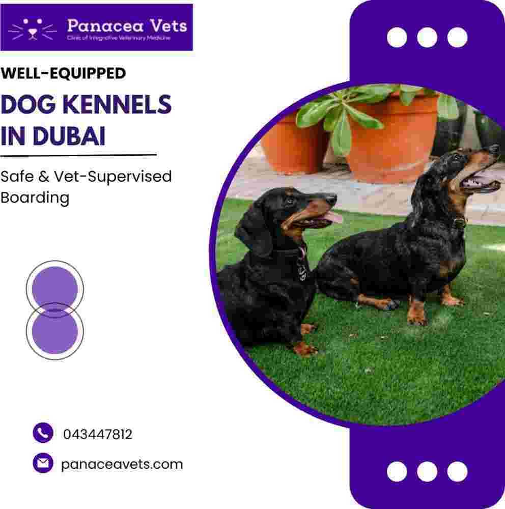 well-equipped-dog-kennels-safe-vet-supervised-boarding-big-0
