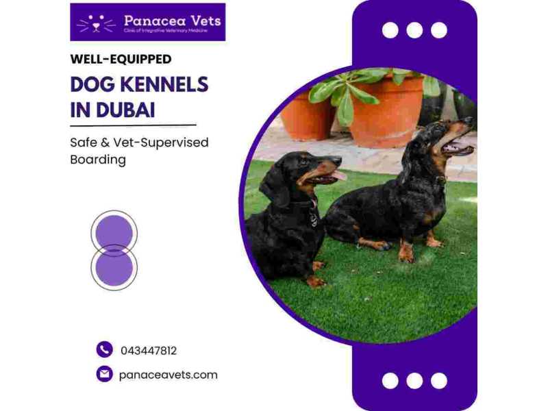 well-equipped-dog-kennels-safe-vet-supervised-boarding-small-0