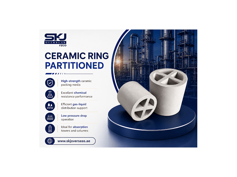 reliable-ceramic-ring-partitioned-packing-for-industrial-towers-small-0