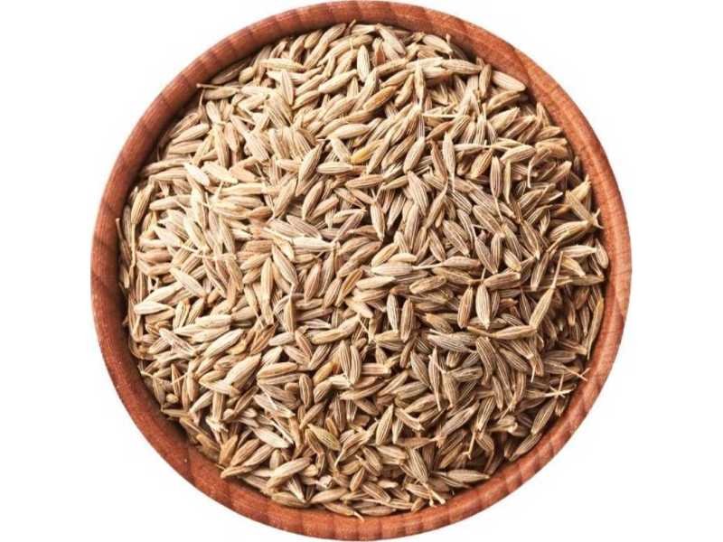 trusted-cumin-seed-exporter-for-premium-quality-supply-small-0