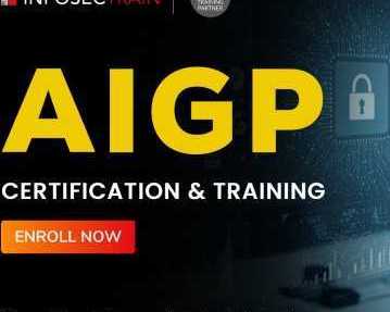 aigp-training-course