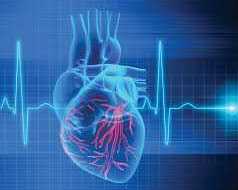 bone-care-one-day-surgery-center-heart-rhythm-clinic-abu-dhabi