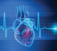 bone-care-one-day-surgery-center-heart-rhythm-clinic-abu-dhabi-big-0