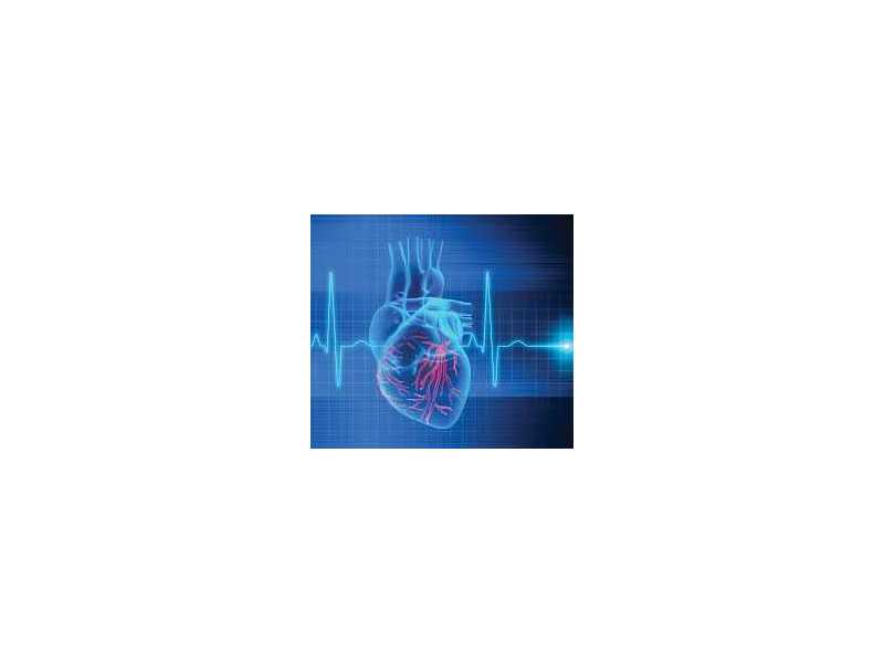 bone-care-one-day-surgery-center-heart-rhythm-clinic-abu-dhabi-small-0