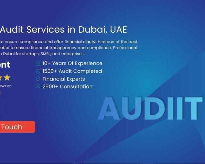get-the-best-audit-services-in-dubai-with-expert-team-of-auditors