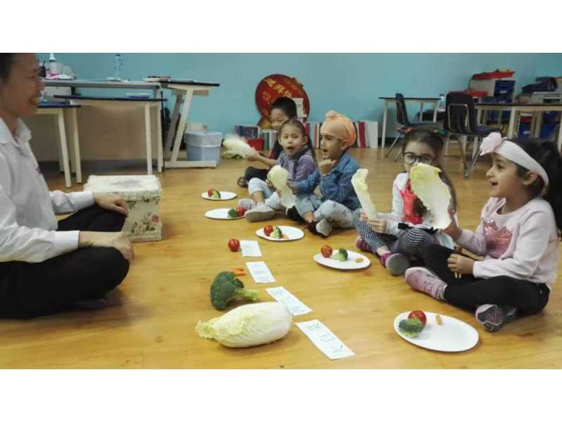 learn-chinese-language-from-best-institute-in-dubai-small-0