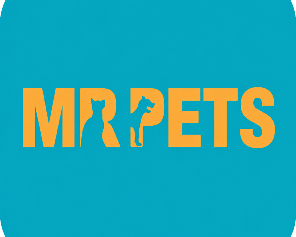 pet-grooming-abu-dhabi-professional-pet-care