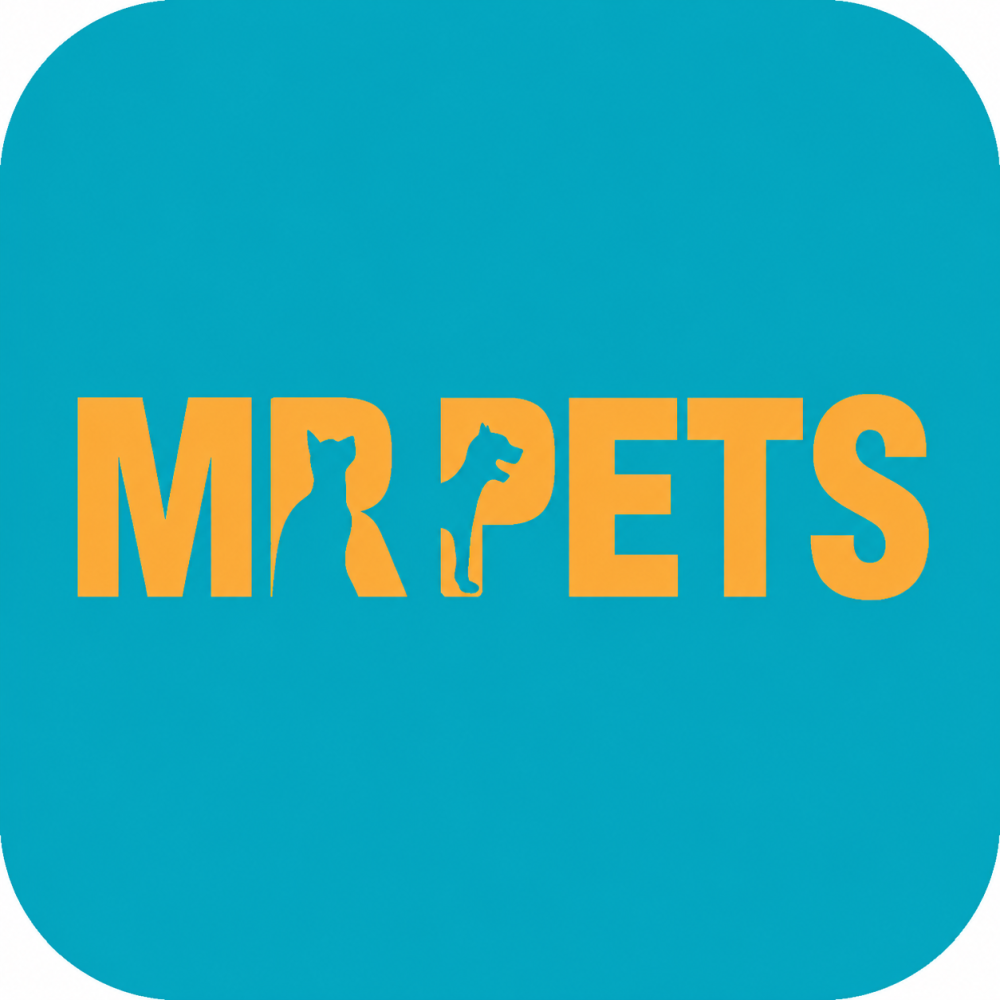 pet-grooming-abu-dhabi-professional-pet-care-big-0