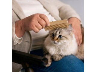 Pamper Your Feline Friend: Exceptional Cat Grooming Services