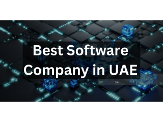 The Best Custom Software Development Services in UAE