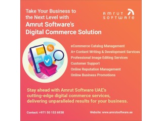 Digital Commerce Solutions: Amrut Software EMEA