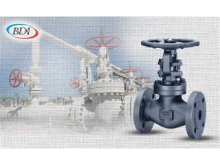 Why is getting in touch with a professional gate valve supplier so important?