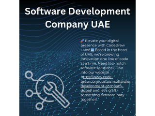 Discover Excellence with CodeBrew Labs: Your Leading Software Development Company in UAE