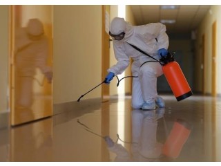 Best pest control in Dubai, sharjah and Abu dhabi at cheap price.