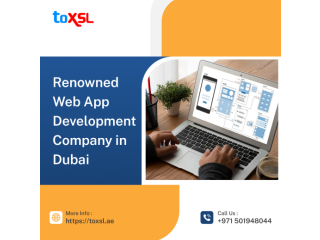 Customized Web App Development Services Dubai: ToXSL Technologies